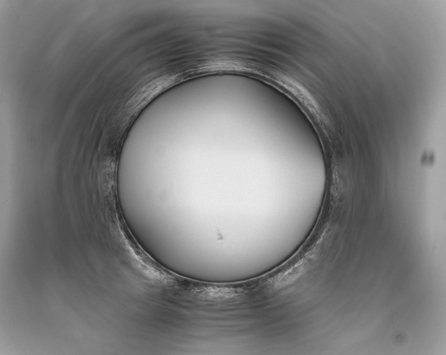 X0000093460849200710261019