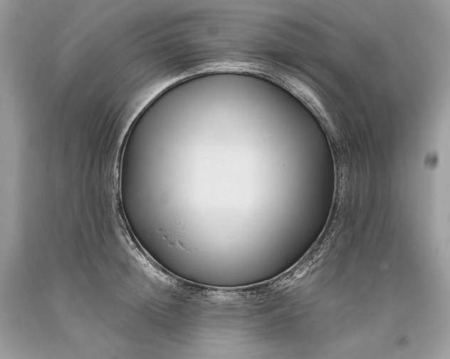 X0000093460852200710261019