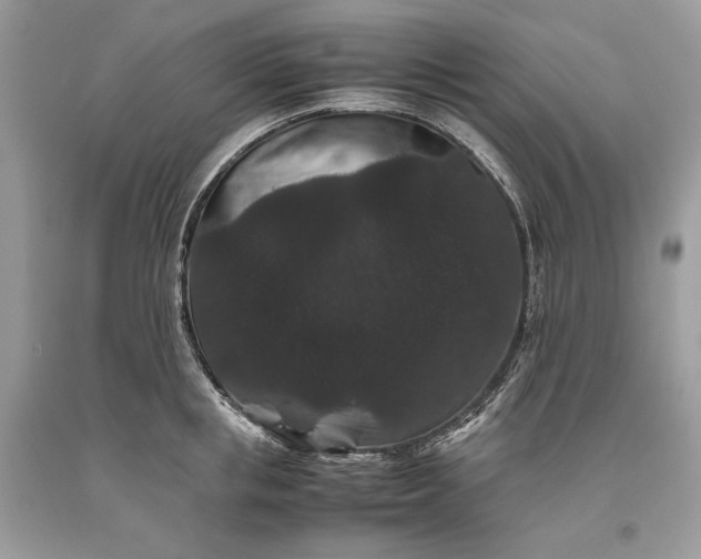 X0000093460853200710261019