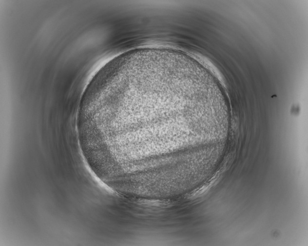 X0000093460855200710261019