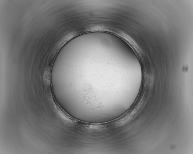 X0000093460857200710261019