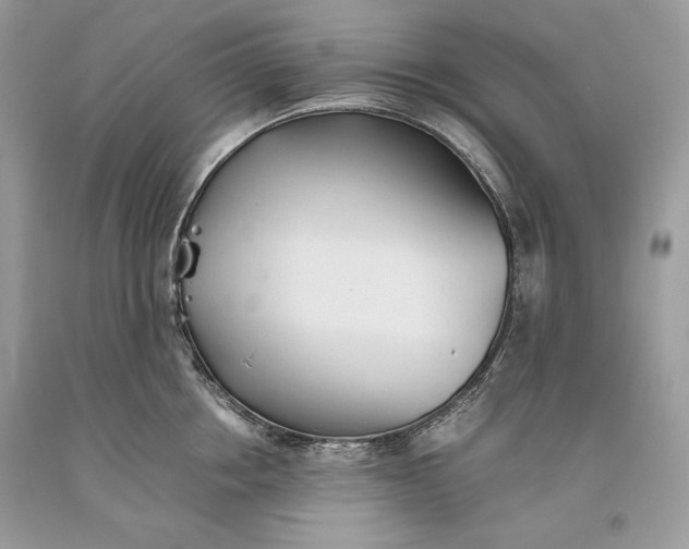 X0000093460858200710261019