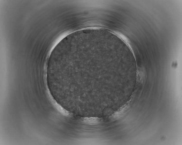 X0000093460859200710261019