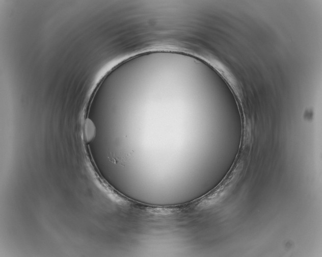 X0000093460862200710261019