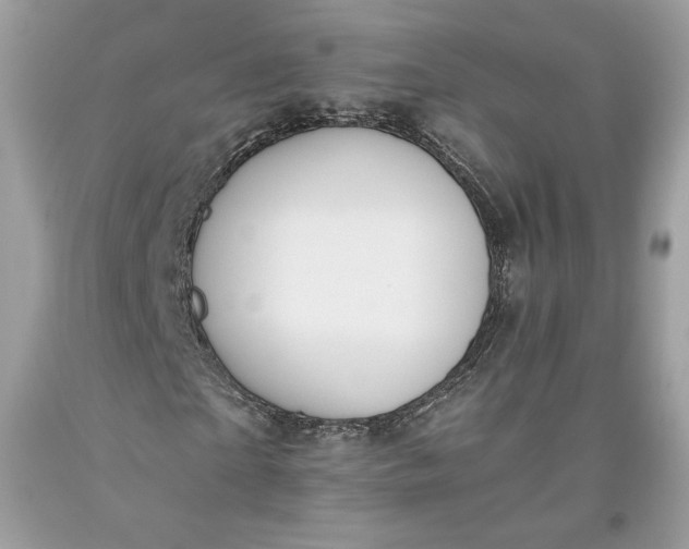 X0000093460865200710261018