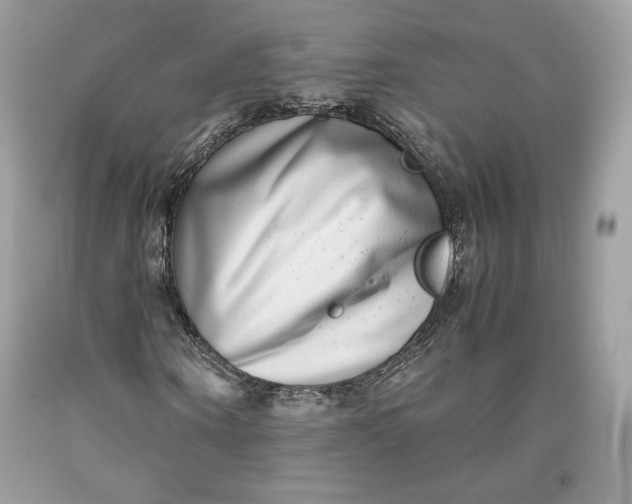 X0000093460866200710261018