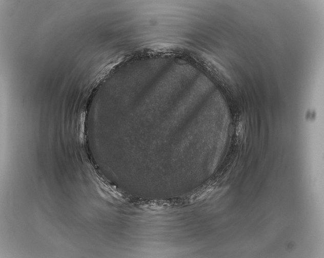 X0000093460868200710261018