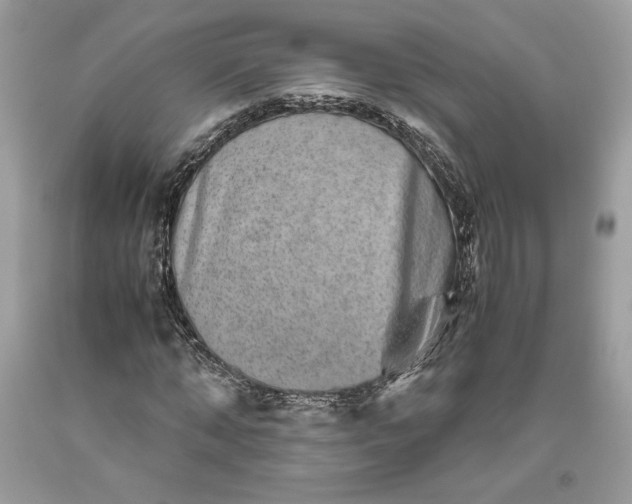 X0000093460870200710261018