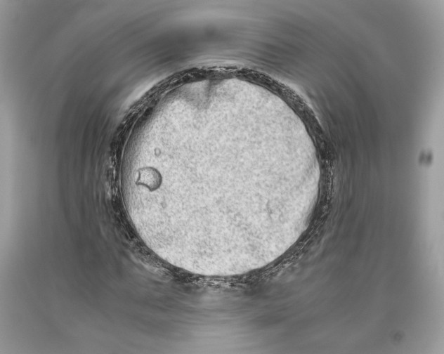 X0000093460871200710261018