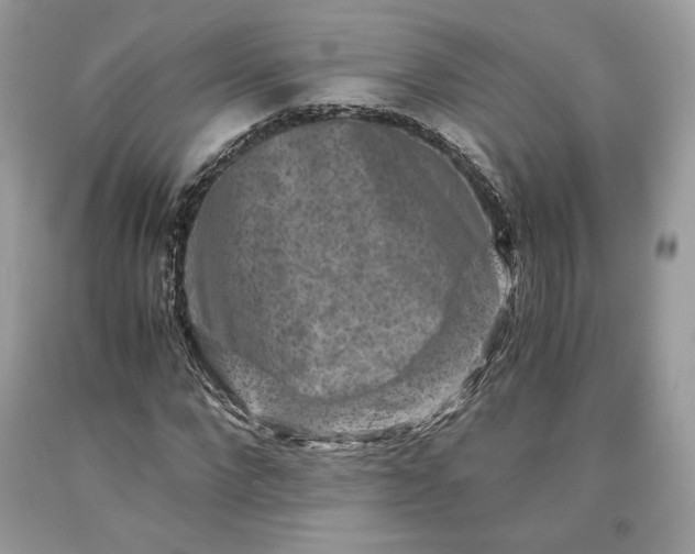 X0000093460872200710261018