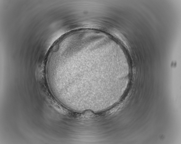 X0000093460875200710261018