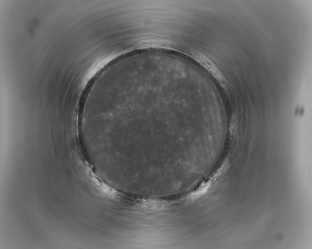 X0000093460877200710261018