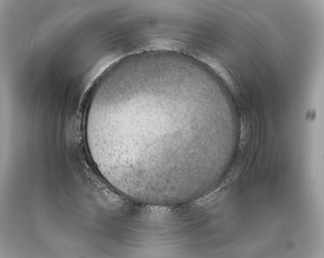 X0000093460878200710261018