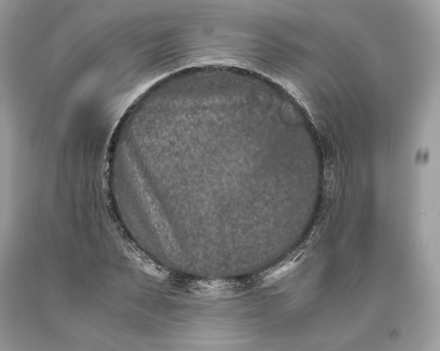 X0000093460879200710261018