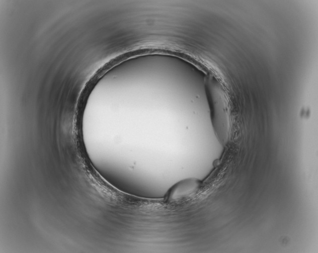 X0000093460880200710261018