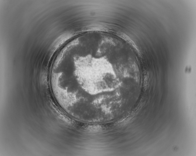 X0000093460882200710261018