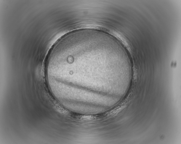 X0000093460883200710261018