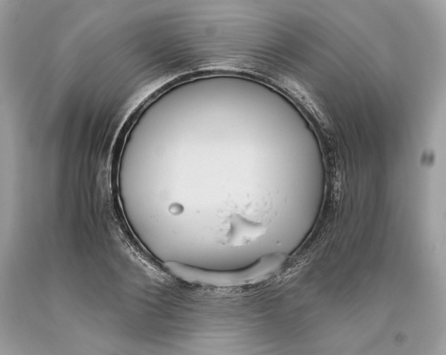 X0000093460884200710261018