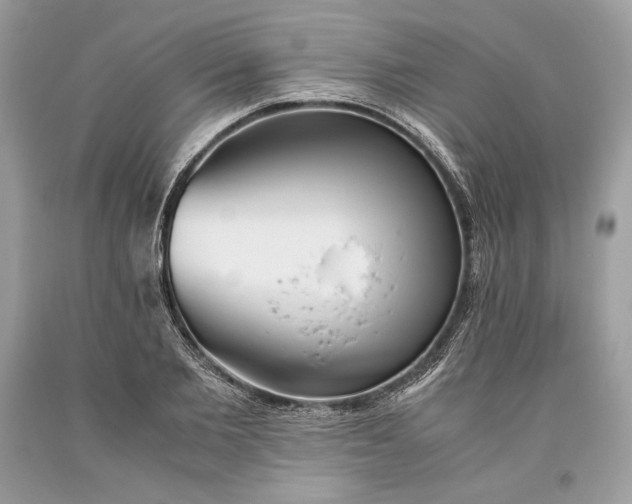 X0000093460885200710261018