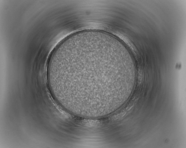 X0000093460886200710261018