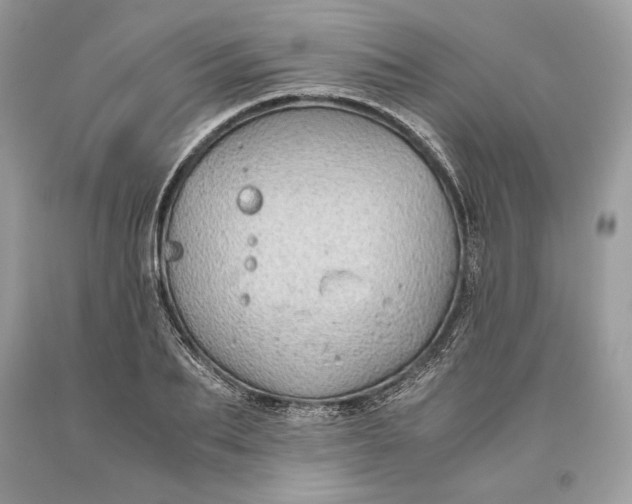 X0000093460887200710261018