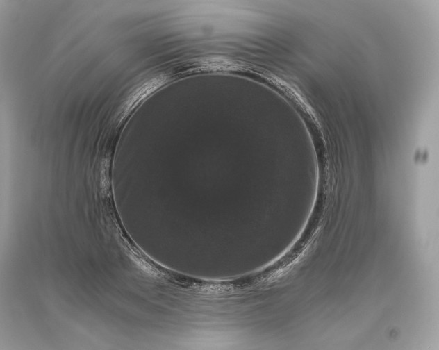 X0000093460889200710261018