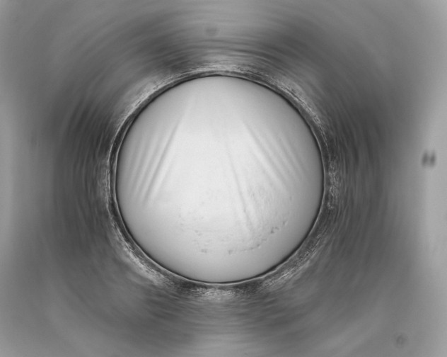 X0000093460890200710261018