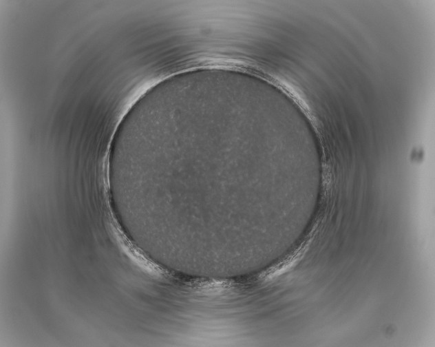 X0000093460891200710261018