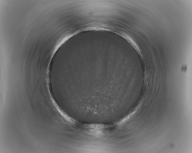 X0000093460893200710261018