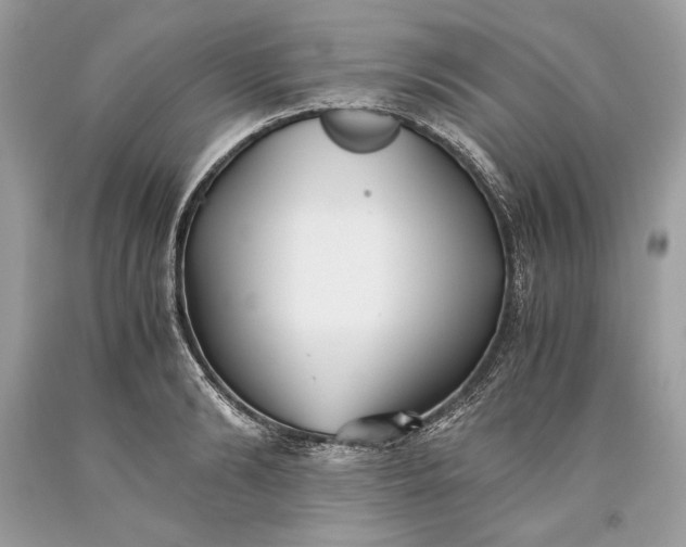 X0000093460894200710261018