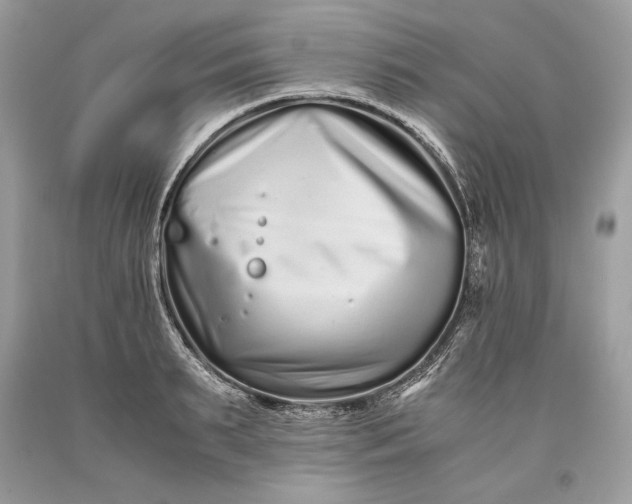 X0000093460895200710261018