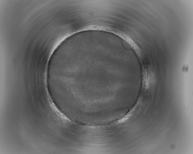 X0000093460896200710261018