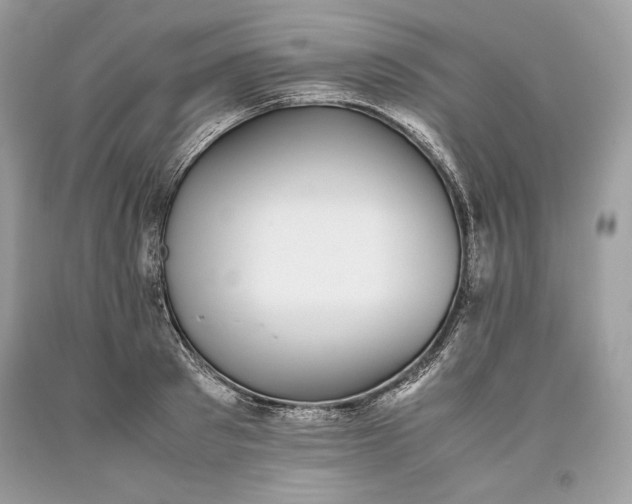 X0000093460897200710261018