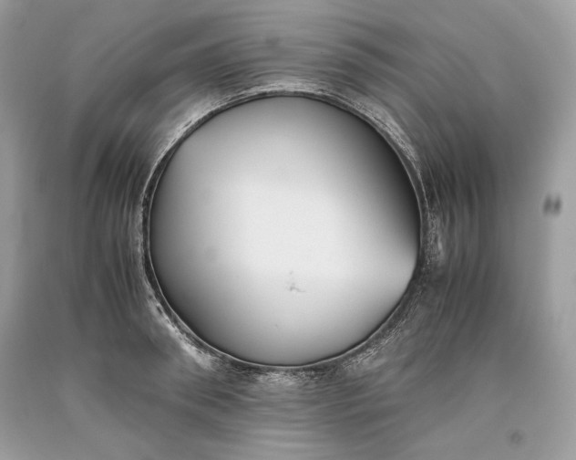 X0000093460898200710261018