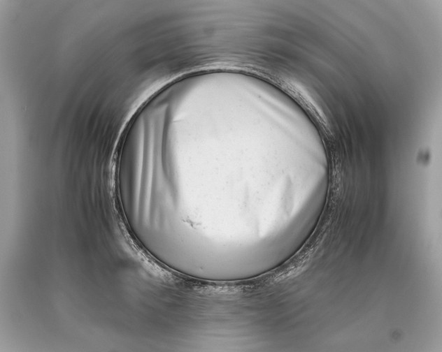 X0000093460900200710261018