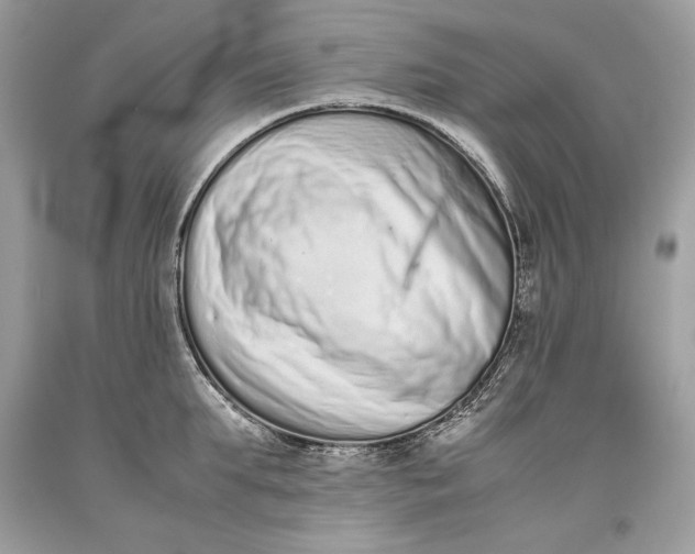 X0000093460903200710261018