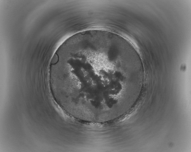 X0000093460907200710261018