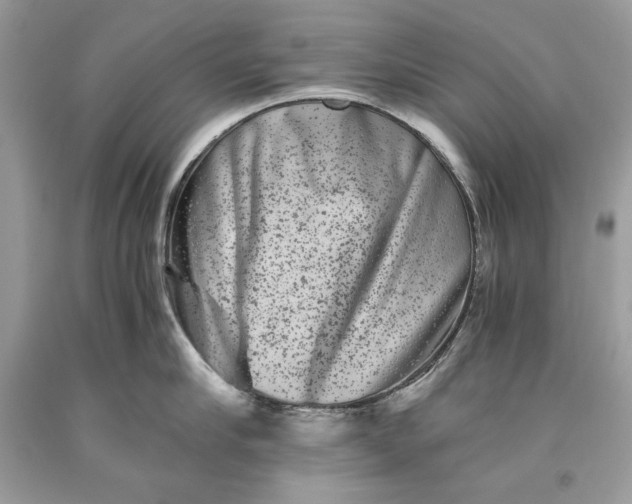 X0000093460910200710261018