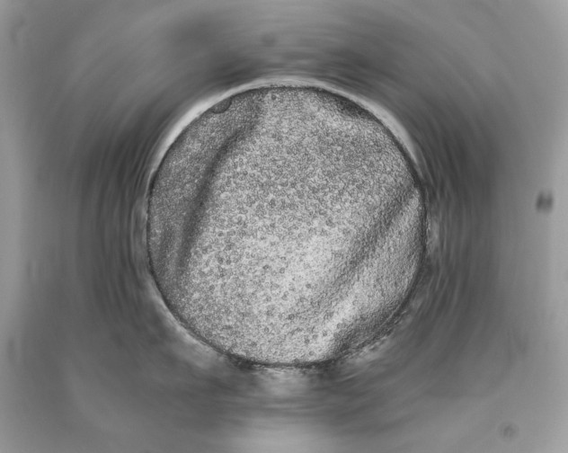 X0000093460911200710261018