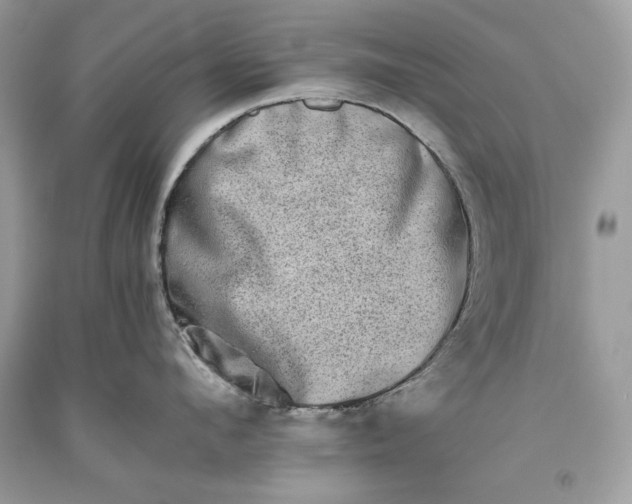 X0000093460912200710261018