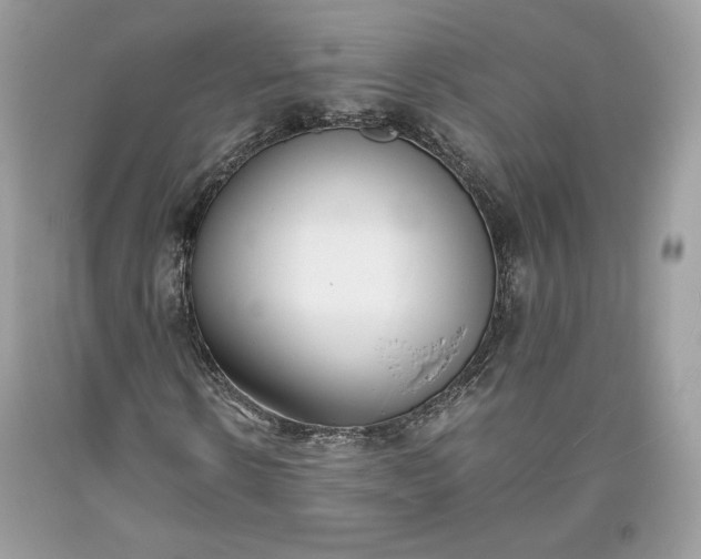 X0000093460914200710261017