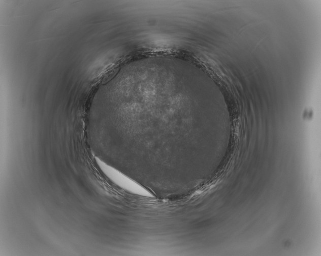 X0000093460916200710261017