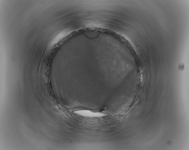 X0000093460919200710261017