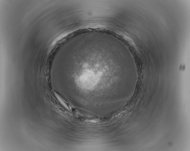 X0000093460920200710261017