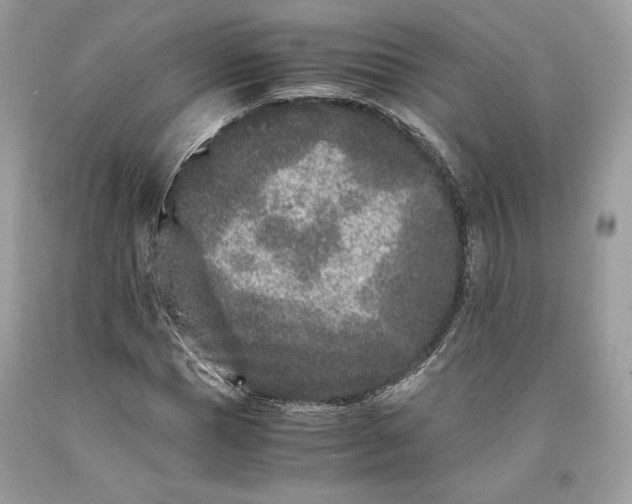 X0000093460921200710261017