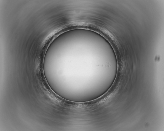 X0000093460922200710261017