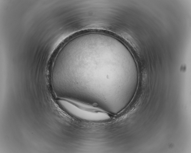 X0000093460926200710261017