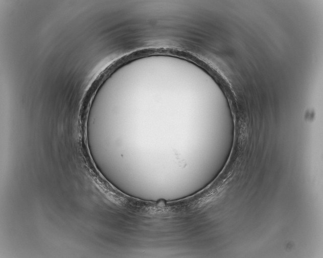 X0000093460927200710261017