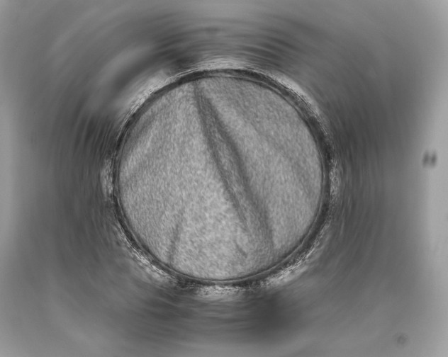 X0000093460929200710261017