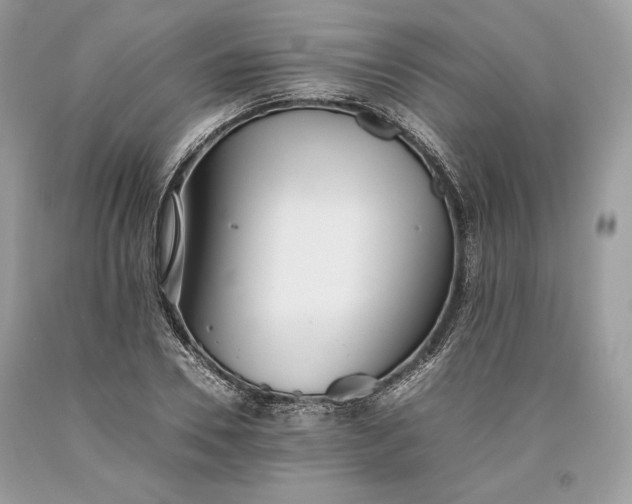 X0000093460930200710261017